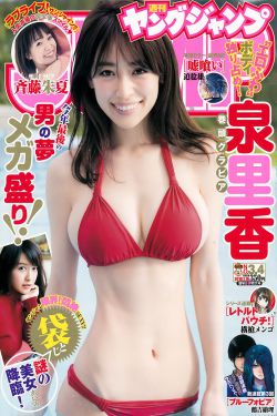 狐狸的夏天电视剧免费观看